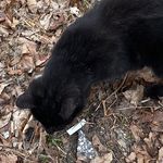 Christopher Steed - @master_steed - Instagram