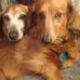 Christopher Stephens - Facebook