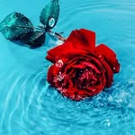 Christopher Stima - @christopher.stima - Instagram