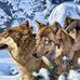 Christopher Stoltzfus - Facebook