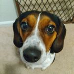 Levi Christopher Stovall - @1sttimeusingsocialmedia - Instagram