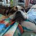 Chris Stutz - Facebook