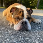 Christopher Stutz - @stutz_331 - Instagram