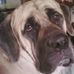 Christopher Stutz - Facebook