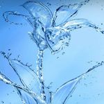 ChristopherRand Stutzman - @christopherrand.stutzman.90 - Instagram