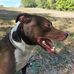 Chris Suchy - Facebook