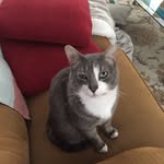 Christopher Sullivan - @csullivan2788 - Instagram