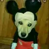 suttonchristopher509 - @suttonchristopher509 - TikTok