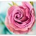 Christopher Swan - Facebook