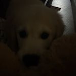 Ashton Christopher Tabor - @ashton_tabor217 - Instagram