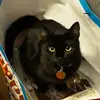 Chris Talbot - @chris.talbot3 - TikTok