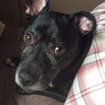 Christopher Talbot - @christalbot2502 - Instagram