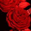 christopher tallman - @christophertallman - TikTok