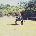 Christopher Tejeda - @chrstophertejeda - Instagram