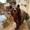 Christopher Thiery - @christopherthiery - TikTok