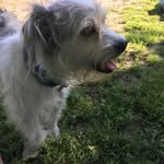 Christopher Thomason - @thomason6507 - Instagram