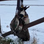 Christopher Thomason - @christopher_thomason3 - Instagram
