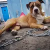 Christopher Toler33 - @christophertoler0420 - TikTok