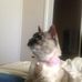 Christopher Toomey - Facebook