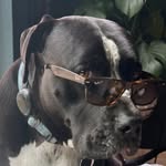 Christopher Toomey - @ctsmith9844 - Instagram