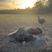 Christopher Toomey - Facebook
