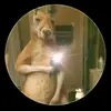 Christopher Torres Avila - @christopher.torre661 - TikTok