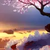christophertorre773 - @christophertorre773 - TikTok