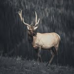 Christopher James Towery - @cjtoweryphoto - Instagram