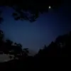 Christopher Tower - @christopher.tower - TikTok