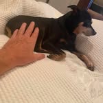 Christopher Townsend - @christopher.town.11 - Instagram