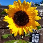 Christopher Townsend - @christopher.townsend.336717 - Instagram