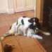 Chris Tuthill - Facebook