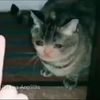 Christopher Ubaldo - @christopherubald - TikTok