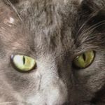 Christopher Utter - @utter_christopher - Instagram