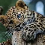 Christopher Vernon - @christopher.vernon.1297 - Instagram