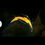 christopher vinson - @vinsonchristopher10 - Instagram