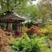 Christopher Vuong - Facebook