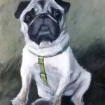 Christopher Weeks - @petportraitsandplaces - Instagram