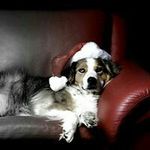 Christopher Wegener - @wegenerchristopher - Instagram