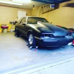 Christopher Weidner - @lsxmittymouse - Instagram