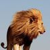 Christopher Weil - Facebook
