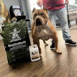 Christopher West tim - @standard_american_bully_ - Instagram
