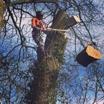 Christopher Whelan - @christystreeservice - Instagram