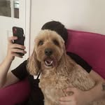 Cwis - @christopher___whelan - Instagram