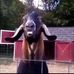 Chris Whitmer - Facebook
