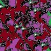 Christopher Wick - @christopher.wick4 - TikTok