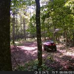 christopher wilder - @christopherwilder9 - Instagram