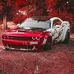 Christopher Wilfong - Facebook