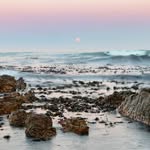 Christopher Willard - @christopherwillard45 - Instagram