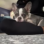 Michael Winters - @christopher.winters3 - Instagram